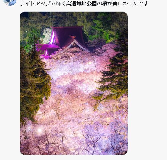 高遠城址公園　桜まつり　2026